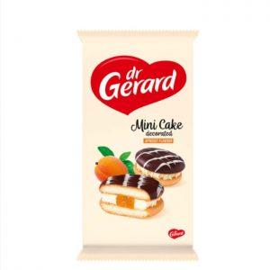 DR.GERARD SPONGE CAKES 380 G X 9 # 100